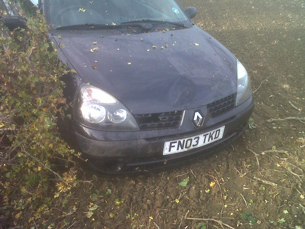 Oops! Country lane, wet and muddy from bleeding tractors. Ran into the field to avoid skidding...